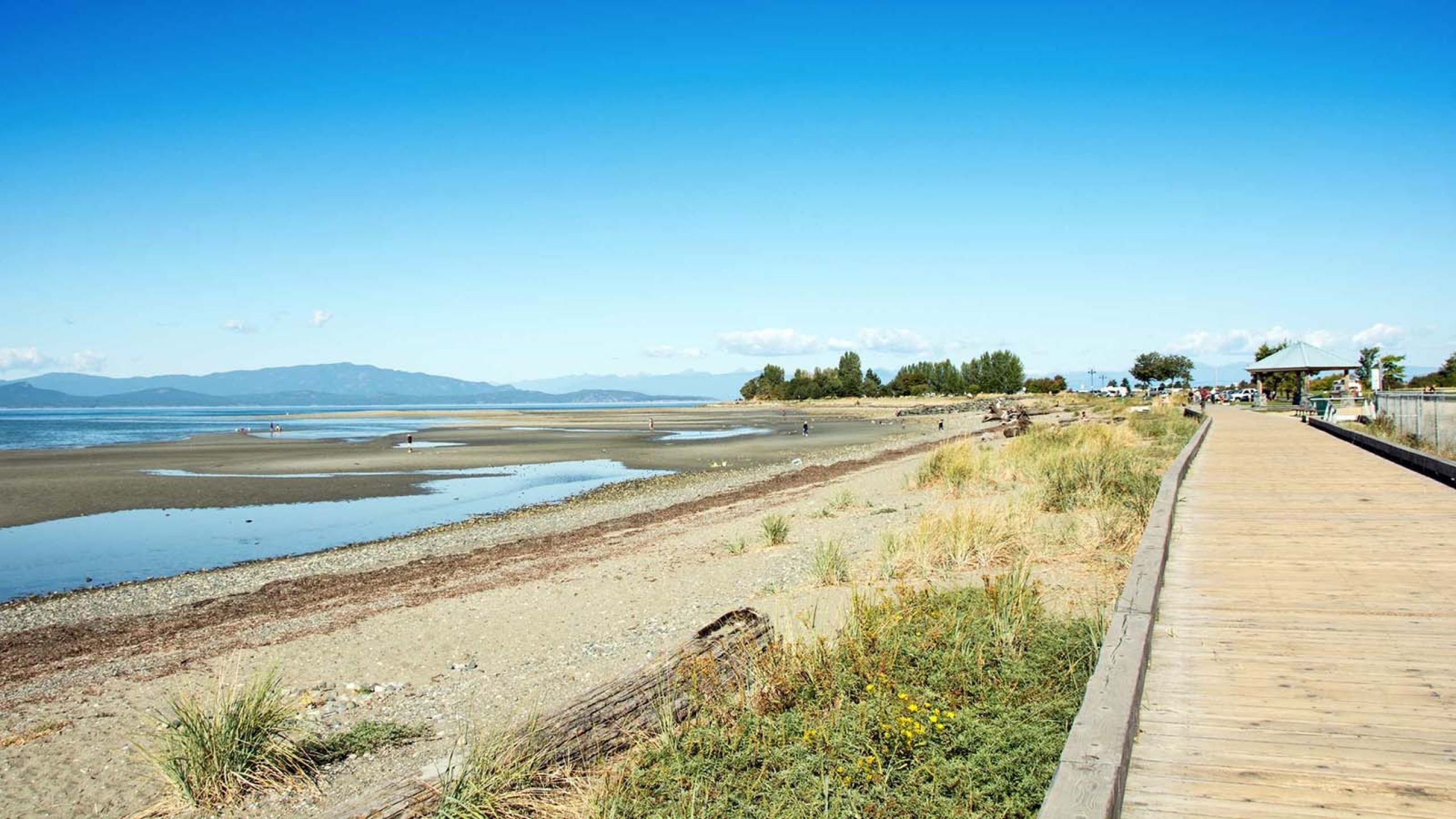 parksville beach photo with beautiful blue sky